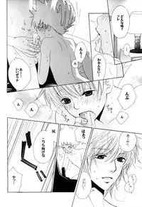 [CACAO (Atene)] TSUNA MANIA (Katekyoo Hitman REBORN!)