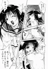 [Inui Sekihiko] Fiesta!!