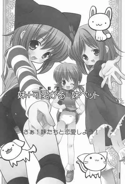 (C75) [Shiritsu Sakuranbo Shougakkou (Kumaki Todorokimaru, Misooden)] Imouto Pet ~premo~