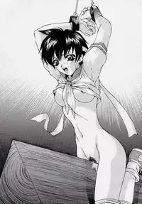 (C55) [Robazoku (Yumesaki Sanjuro)] HAPPY GO LUCKY 2 (Street Fighter, Darkstalkers)