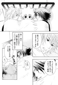 [CACAO (Atene)] TSUNA MANIA (Katekyoo Hitman REBORN!)