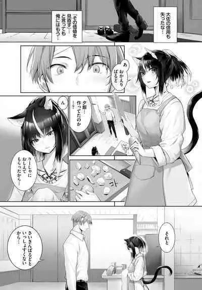 [Kyougoku Touya] Orokamono wa Nekomimi Dorei ni Izon suru ~Hajimete no Choukyou Seikatsu~ 01-27