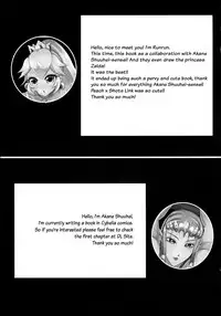 (C89) [Akane Shuuhei Dou, Maltese (Runrun, Akane Shuuhei)] Partner Trade (The Legend of Zelda, Super Mario Brothers) [English] [Otokonoko Scans]