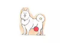 [pink-noise (Mizuiro Megane)] Doubutsu Noujou - Animal Farm