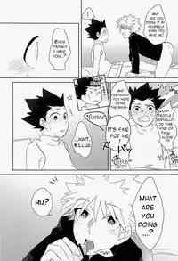 (CLIMAX HUNT 5) [Fukahire (Hekiru)] Rifujin wa Gokigen | Happy Nonsense (Hunter x Hunter) [English] [Willeke4439]