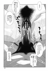 COMIC Momohime 2008-11