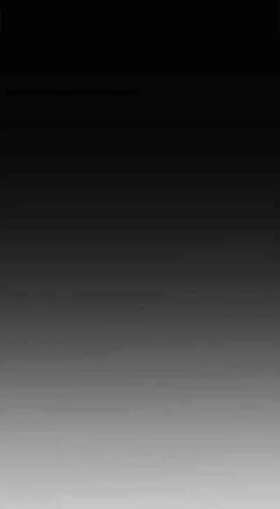 养老金的所有者 31-54 CHI