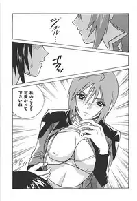 (C68) [Human High-Light Film (Ankoku Daimaou)] Meer to Lunamaria to Meyrin (Gundam SEED DESTINY)