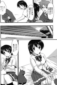 Comic Papipo 2007-08