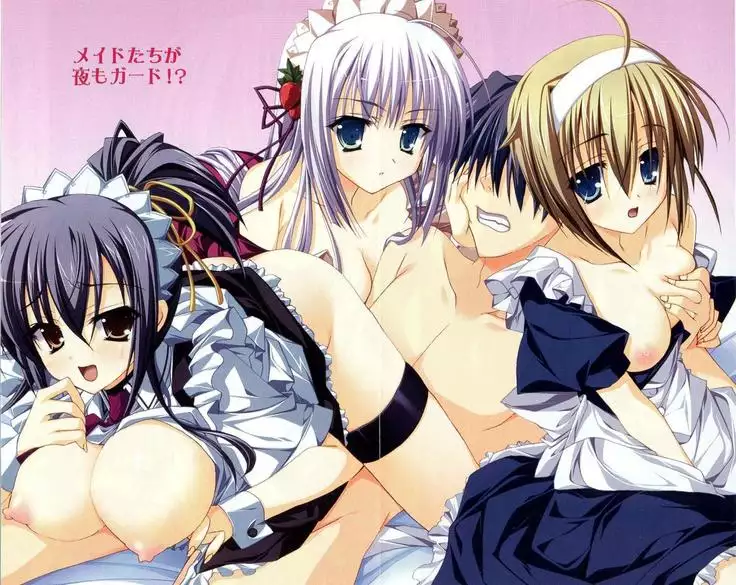 トリプル押しかけメイド妻