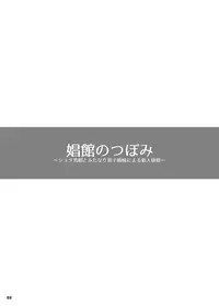 [Nine's Graphics (GENSHI)] Shoukan no Tsubomi [Digital]