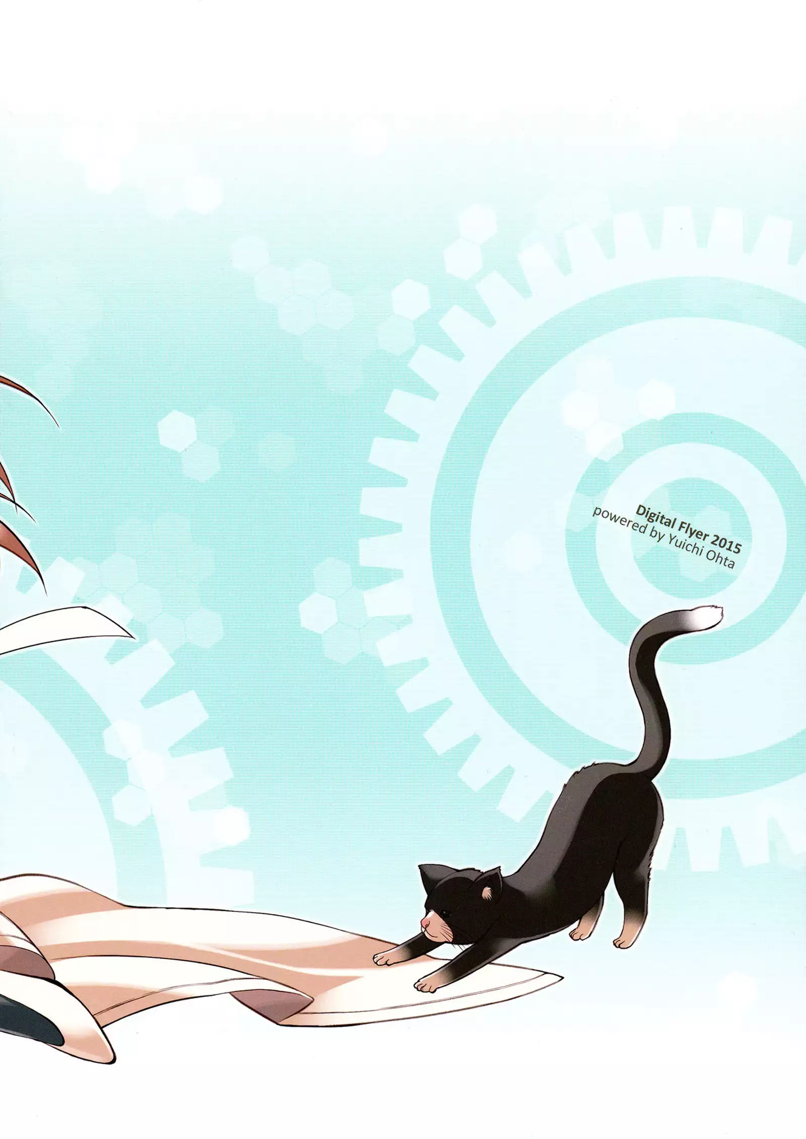 BisColle Zwei -Bismarck Collection 2015-