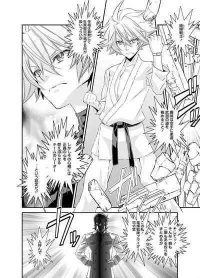 Denki Sentai Briders