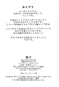 (Reitaisai 10) [Ramen Rice (Rajii)] In Darkness (Touhou Project)