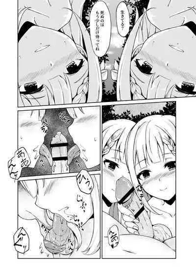 Seiheki wo Kanaete kureru Seiiki no Futago