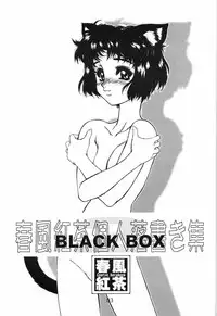 (C63) [AXZ (Harukaze Koucha)] Akugou Sanmai Ni | BLACK BOX (Neon Genesis Evangelion)