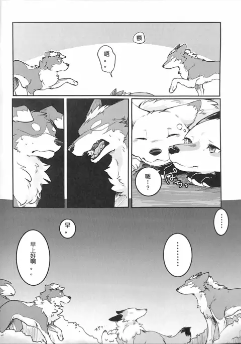 Yume Utsutsu Lovage | 林间小夜曲