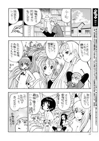 (C75) [Ganso Sonodaya (Sonoda Kenichi)] Kamisama Megaton Punch 11 (Various)