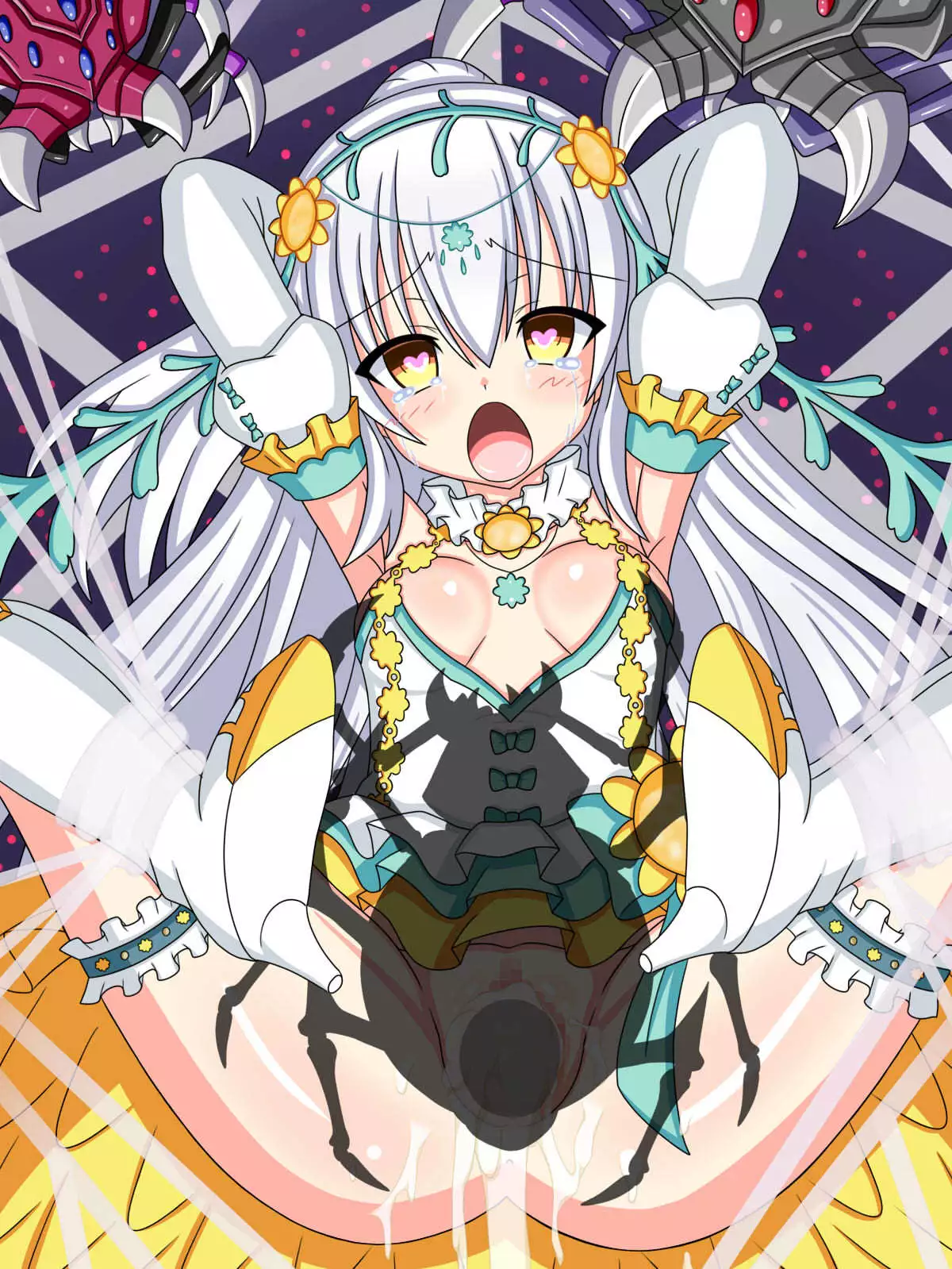 "Hanazono no Seiya" Shirotaegiku