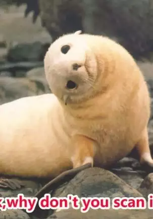 (C90) [Twilight Road (Tomo)] Kashima-chan ga Pyuppyusshite Kureru Omake & Rafu Hon (Kantai Collection -KanColle-)