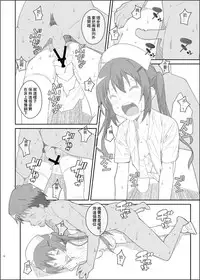TYPE-33+