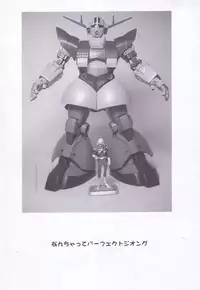 [NADORINDOU (Kinokonokko)] Kinoko Tsuushin Soukangou (Dead or Alive Xtreme Beach Volleyball)