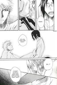 [Nikita&Raica] Family Wars (Bleach) [ENG]