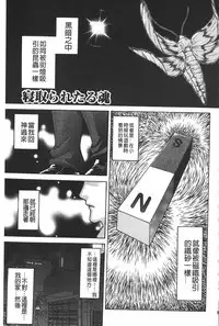 [Hino Toshiyuki] Injukujo Niku Zanmai | 淫熟女肉慘味 [Chinese]