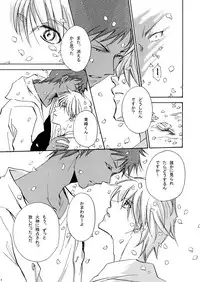 (Shadow Trickster 5) [Trough-Bird (Minase Taruhi)] Sweet Cherry Pink (Kuroko no Basuke)