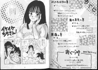 Dragonball for adult