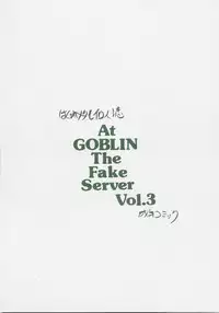 [ZINZIN] At Goblin The Fake Server Vol.3 (Final Fantasy XI)