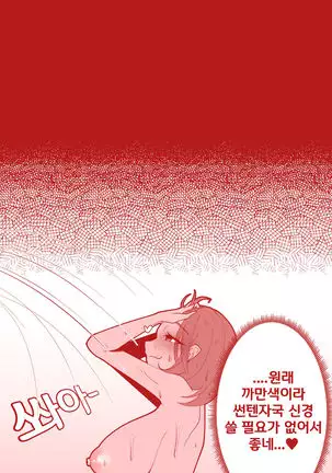 카멜과 감당안되는 수영복