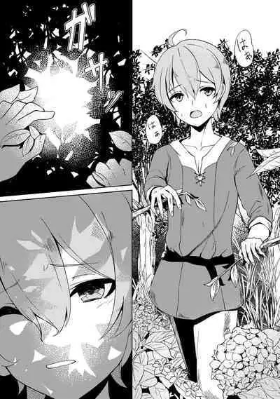 Seiheki wo Kanaete kureru Seiiki no Futago