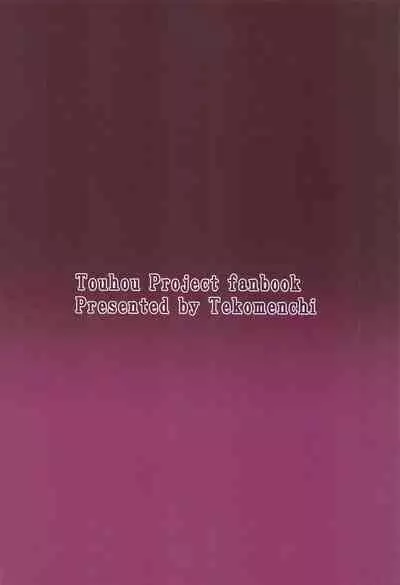 Patchouli Knowledge Kaihatsu Kiroku