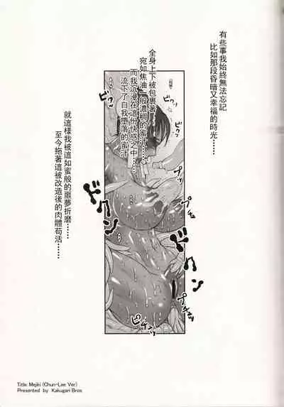 (C70) [Niku Ringo (Kakugari Kyoudai)] NIPPON Onna HEROINE 2 (Darkstalkers, Street Fighter) [Chinese] [不可视汉化] [Incomplete]