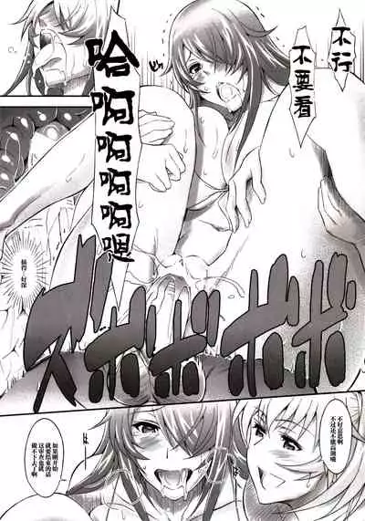 [Diogenes Club (Haikawa Hemlen)] Shokukan Mankan Zenseki - Soushuuhen 2007-2013 (Ikkitousen) [Chinese] [不咕鸟汉化组] [Digital]