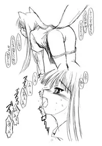 (Noiji Maniacs 2) [Yukai Ehon (Sue)] Ookami-san no Ohikkoshi (Spice and Wolf)