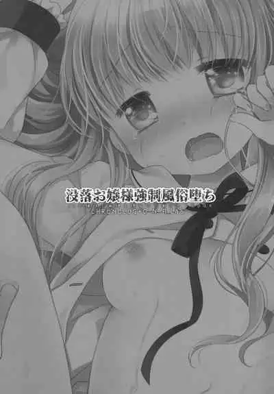 Botsuraku Ojou-sama Kyousei Fuuzoku Ochi