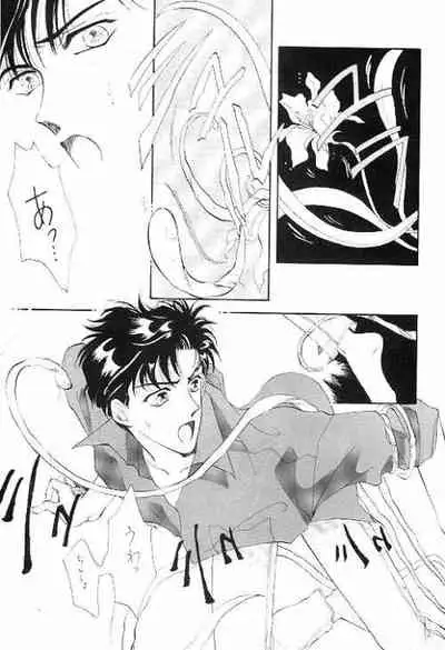 [Oomitsutou (Hayami Masumi, Tokugawa Ranko)] Homo no Hon SIDE A (Sailormoon)