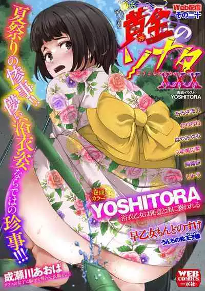 黄金のソナタXXX その二十