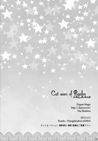 (Loketto 5) [Dipper Magic (Hoshino Nia)] Cat ears of Ruche (7th Dragon)