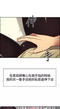 Domesticate the Housekeeper 调教家政妇 ch.1-28 (chinese)
