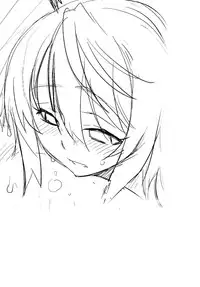 (C81) [Kouchaya (Ootsuka Kotora)] Love Slave (Infinite Stratos)