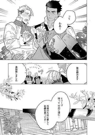 Hoshikuzu no Debutante