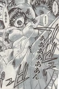Namaiki! 2008-09