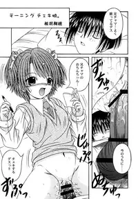 (C71) [AIU SHOW COMMUNICATION (Aiba Shouho)] SAKUTSUBA! SPECIAL2 (Sister Princess)