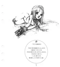 [Ruri Ruri] Super Barning Fire File (Martian Successor Nadecico)