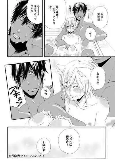 Aigan Neko no Yuuwaku