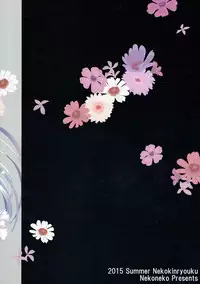 (C88) [Neko Kinryouku (NekoNeko)] Mahou Shoujo wa Otome Janai to Ikenai ndesu. (Katsute Mahou Shoujo to Aku wa Tekitai Shiteita.)