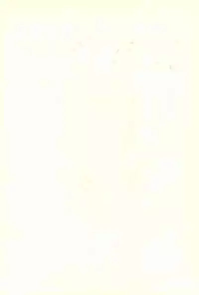 Hitosujinawa SPECIAL Ruri Ruri? Soushuuhen Kanzenban